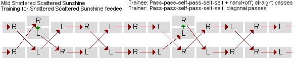 Mild Shattered Scattered Sunshine feedee training for Shattered Scattered Sunshine caual diagram