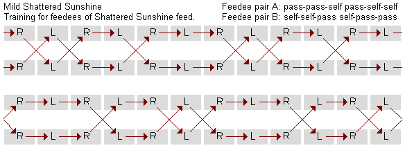 Mild Shattered Sunshine causal diagram