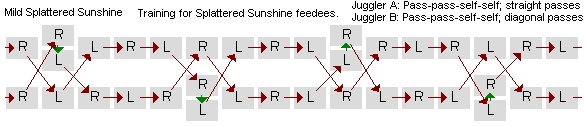 Mild Splattered Sunshine training for feedees causal diagram